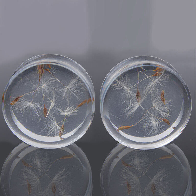2X Natural Dandelion Flower Acrylic Flesh Tunnel Ear Plug Double Flared Expander