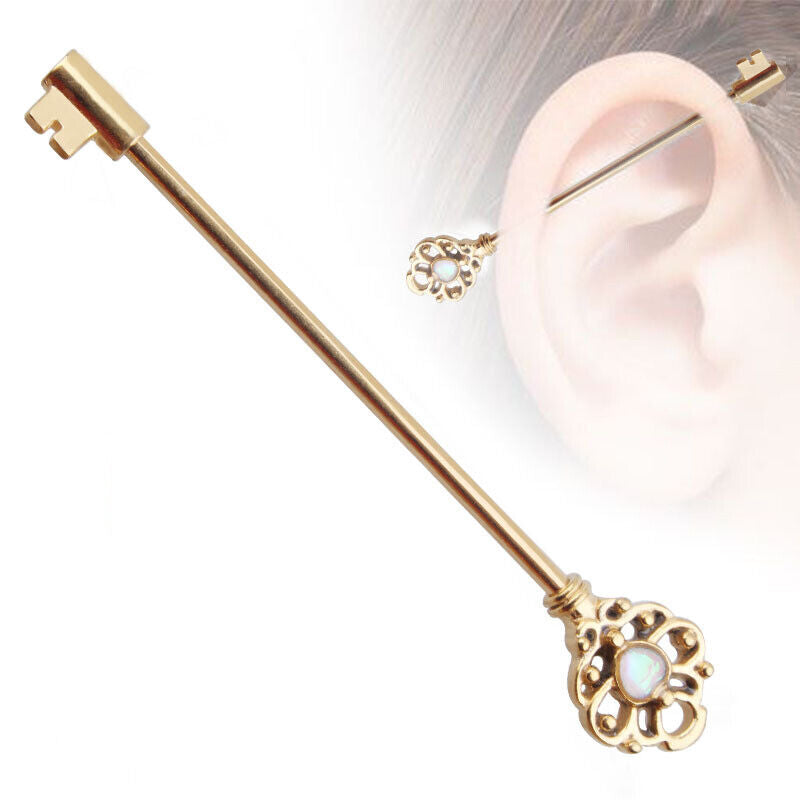 Multi Style Steel Industrial Bar Scaffold Ear Barbell Ring Piercing Jewellery