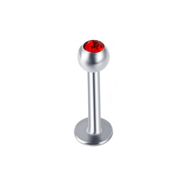 10pc Surgical Steel Zircon Gem Labret Monroe Lip Rings Bar Stud Piercing Jewelry