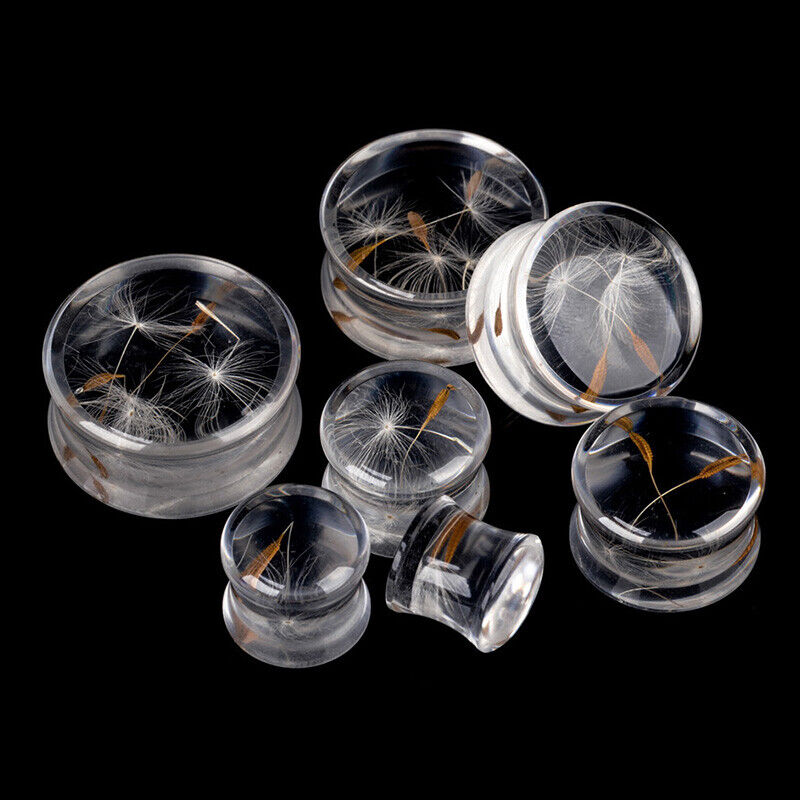 2X Natural Dandelion Flower Acrylic Flesh Tunnel Ear Plug Double Flared Expander