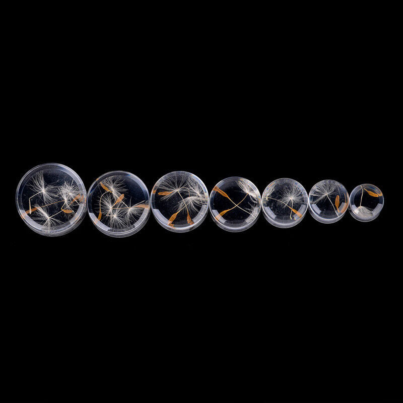 2X Natural Dandelion Flower Acrylic Flesh Tunnel Ear Plug Double Flared Expander