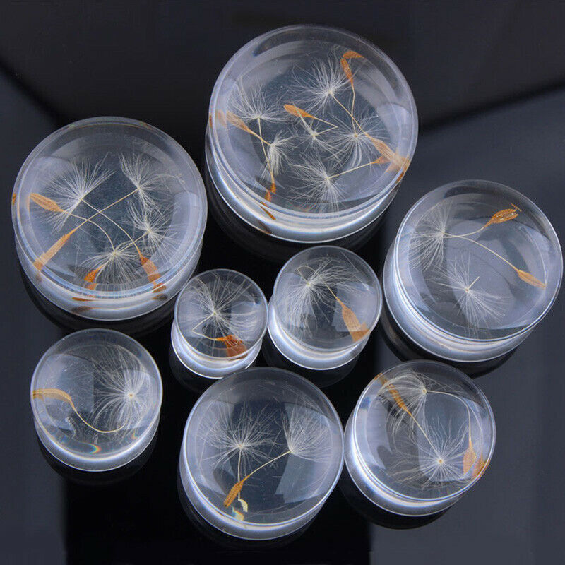 2X Natural Dandelion Flower Acrylic Flesh Tunnel Ear Plug Double Flared Expander